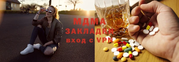 шишки Бородино