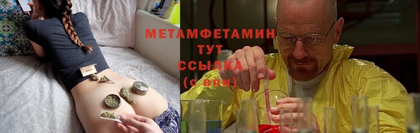 шишки Бородино