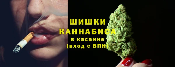 МДПВ Богородицк