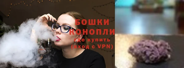 шишки Бородино