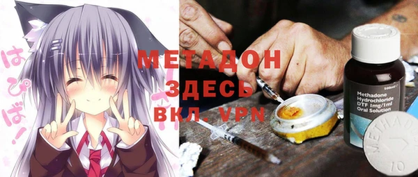 шишки Бородино