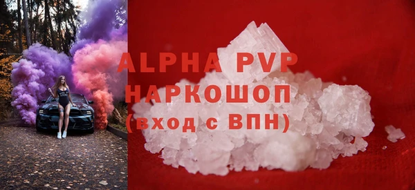 шишки Бородино