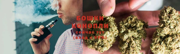 mdpv Богородск