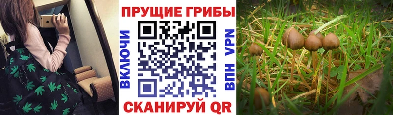 Купить закладки  Еманжелинск  Псилоцибиновые грибы MAGIC MUSHROOMS 